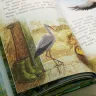 Книга «Как я родился? Сказки капустной феи»  Наталия Немцова 