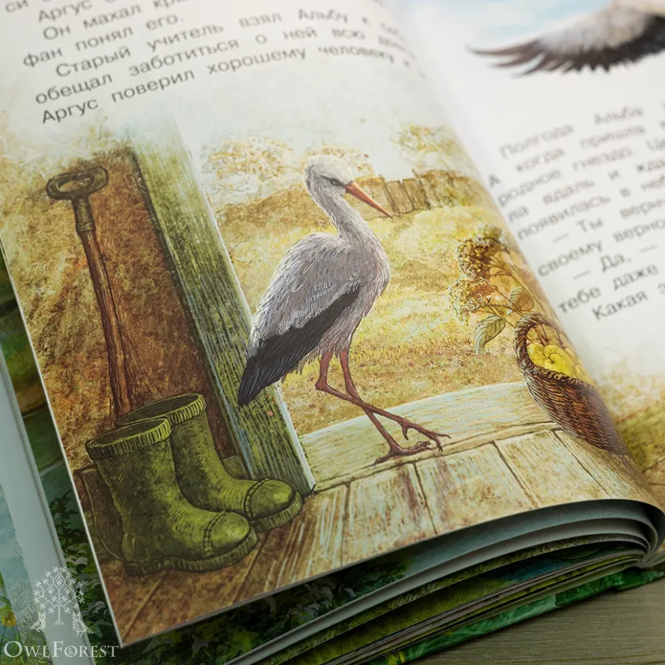 Книга «Как я родился? Сказки капустной феи»  Наталия Немцова 