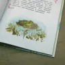 Книга «Как я родился? Сказки капустной феи»  Наталия Немцова 
