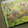 Книга «Как я родился? Сказки капустной феи»  Наталия Немцова 