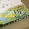 Книга «Как я родился? Сказки капустной феи»  Наталия Немцова 