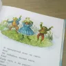 Книга «Как я родился? Сказки капустной феи»  Наталия Немцова 