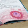 Книга «Обыкновенные чудеса. Сказки для почемучки» Наталия Немцова
