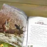 Книга «Снежная королева» Ганс Христиан Андерсен
