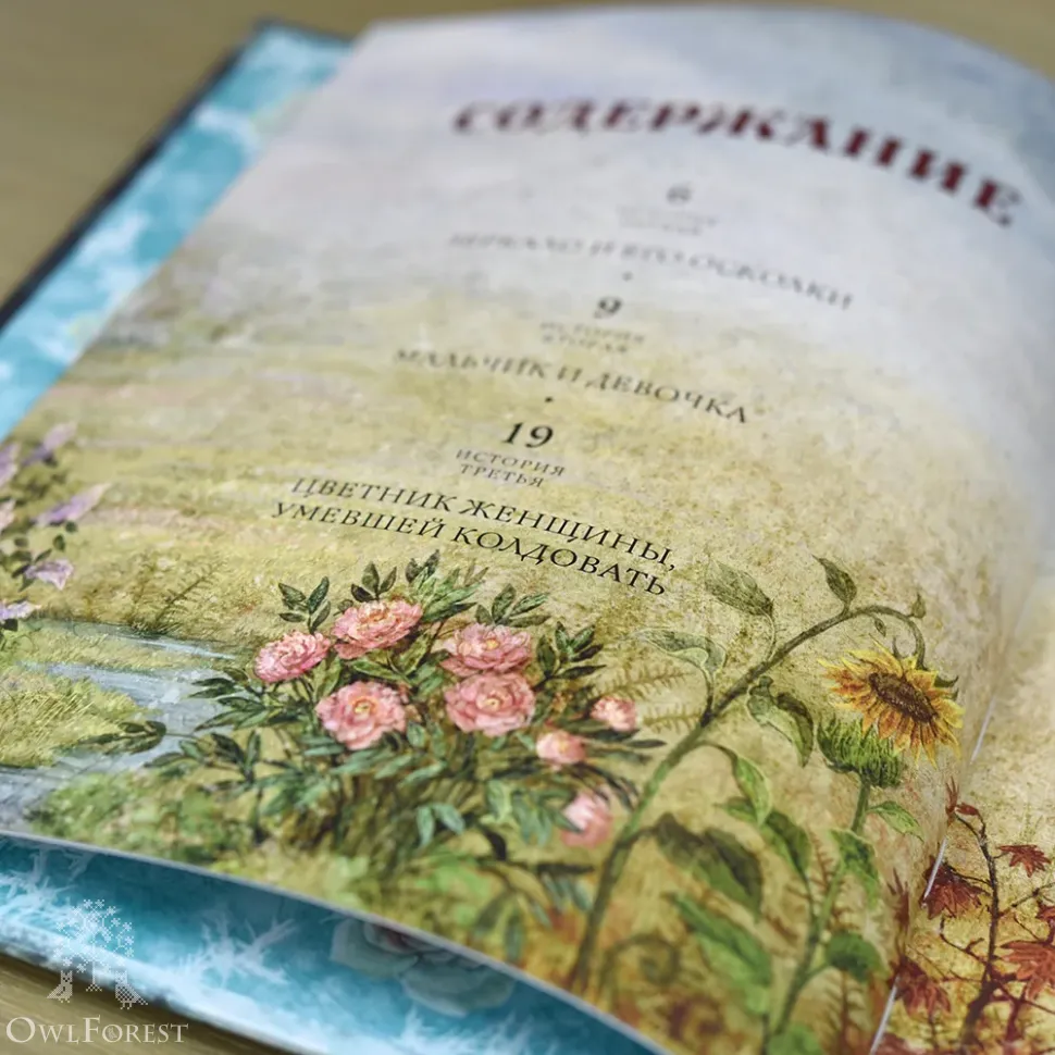 Книга «Снежная королева» Ганс Христиан Андерсен
