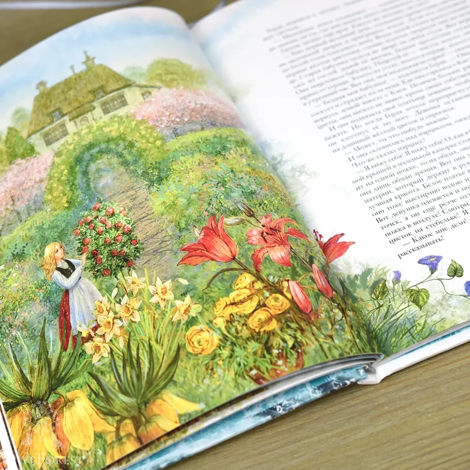 Книга «Снежная королева» Ганс Христиан Андерсен