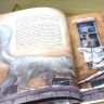 Комплект книг в коробке «Снежная королева» и «Дары волхвов»