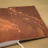Ежедневник «Лесной олень»