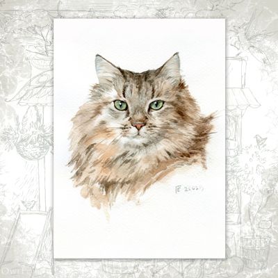 Открытка «Портрет Мурзика»