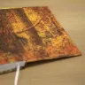 Ежедневник «Совиный лес»