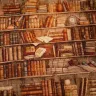 Сумка-шоппер «Книжный шкаф»