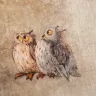 Сумка-шоппер «Почтовые совы»