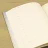 Ежедневник «Портрет Мурзика»