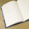 Ежедневник «Созвездие Голубь»