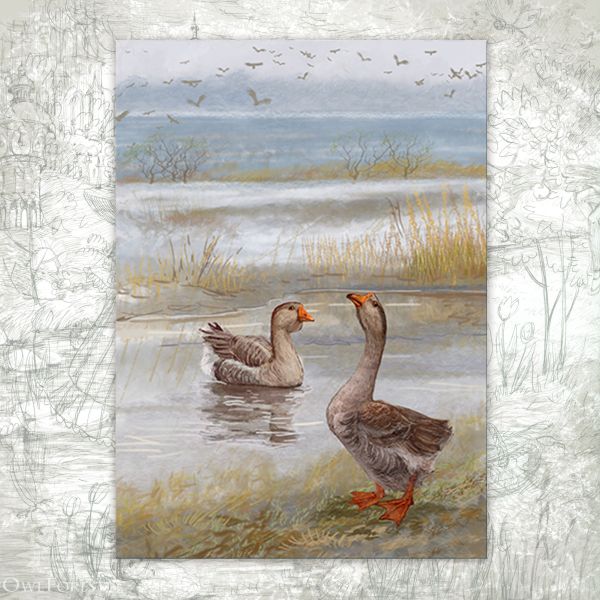 Открытка «Дикие гуси»