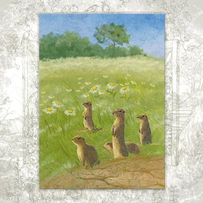 Открытка «Сторожевые суслики»