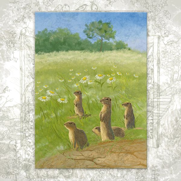 Открытка «Сторожевые суслики»