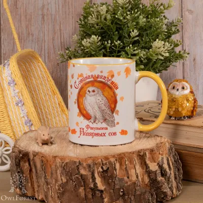 Кружка «Факультет Полярных сов»