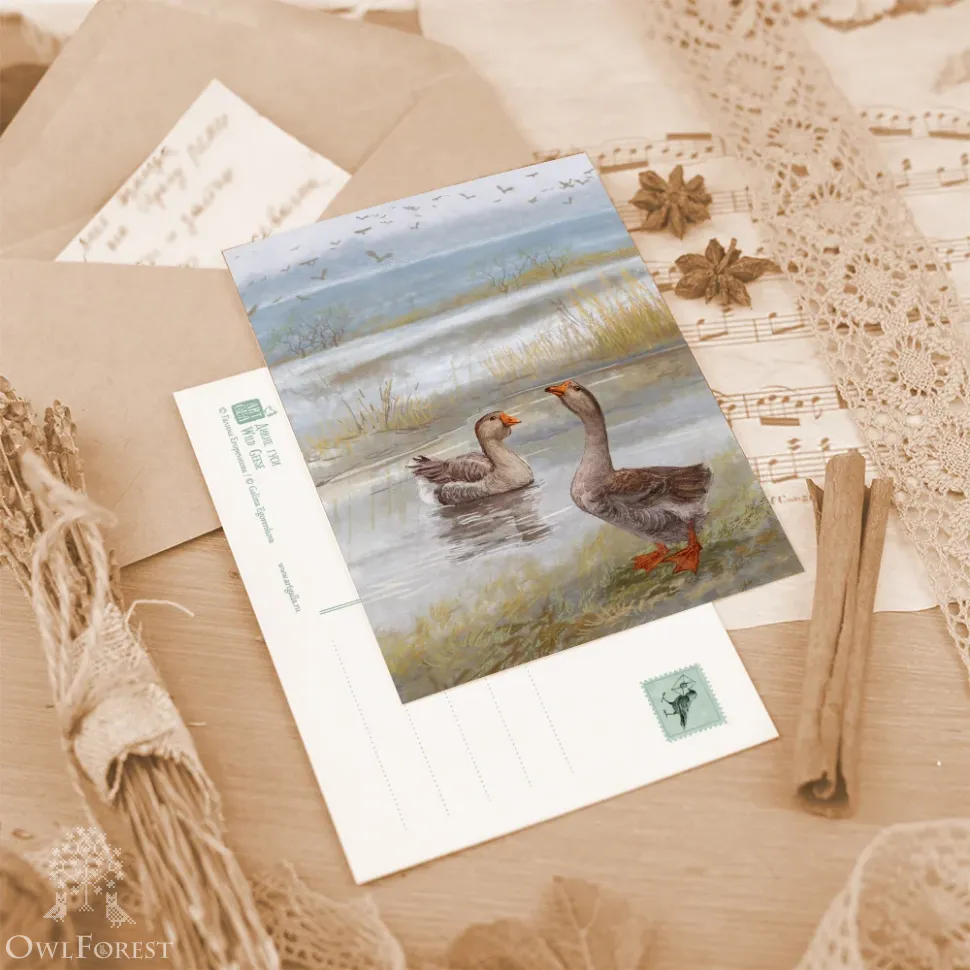 Набор открыток «Хорошая погода»