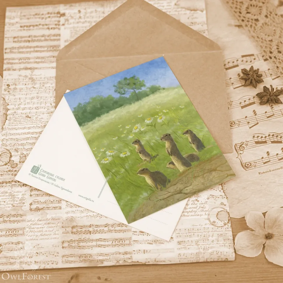 Набор открыток «Хорошая погода»