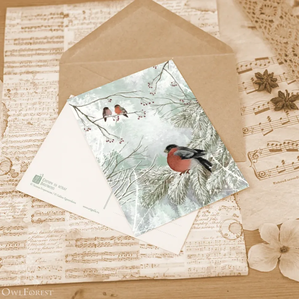 Набор открыток «Морозный день»