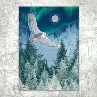 Открытка «Полярная ночь»