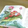 Книга «Ботанические сказки» Мамин-Сибиряк, Куприн, Андерсен