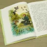 Книга «Алёнушкины сказки» Мамин-Сибиряк Д.Н.