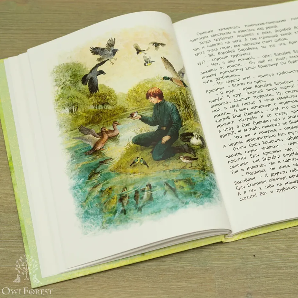 Книга «Алёнушкины сказки» Мамин-Сибиряк Д.Н.
