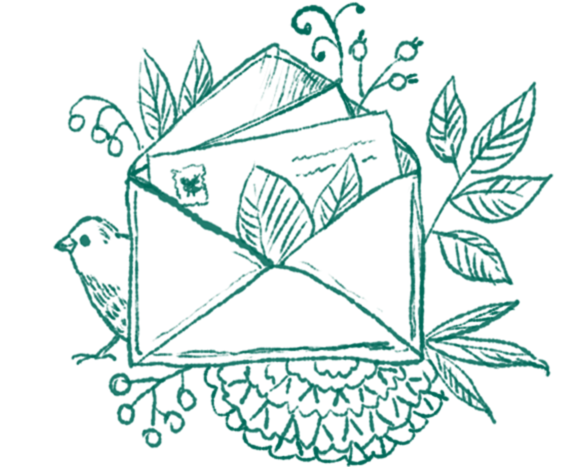 Почтовые открытки